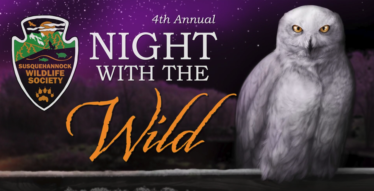 Night with the Wild Update – Tickets Sold Out!