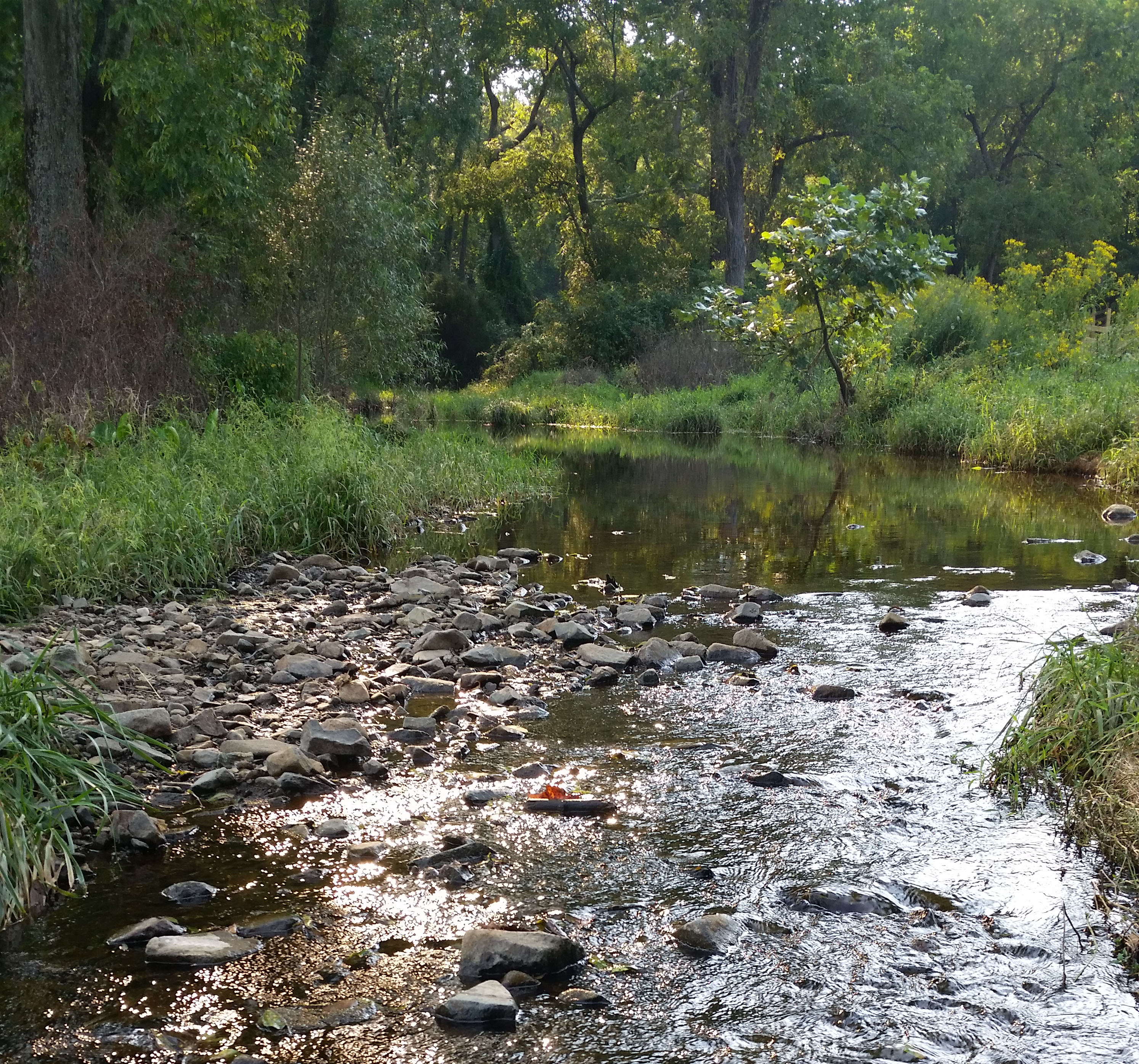 Hopkins Branch WMA, Home of the Susquehannock Wildlife Center, Turns 4 Years Old Today