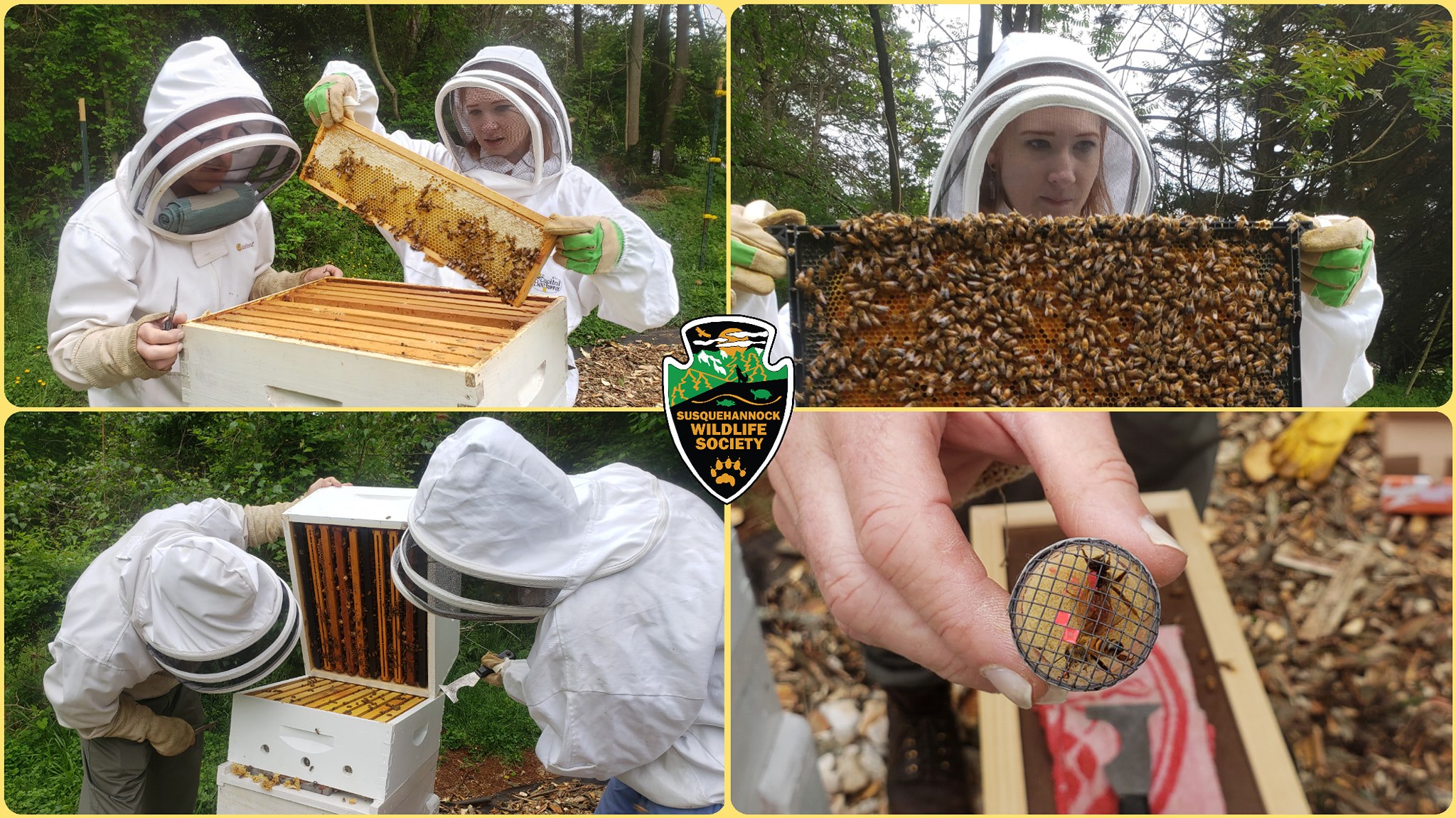 Honey Bees Find a Home at Susquehannock Wildlife Center