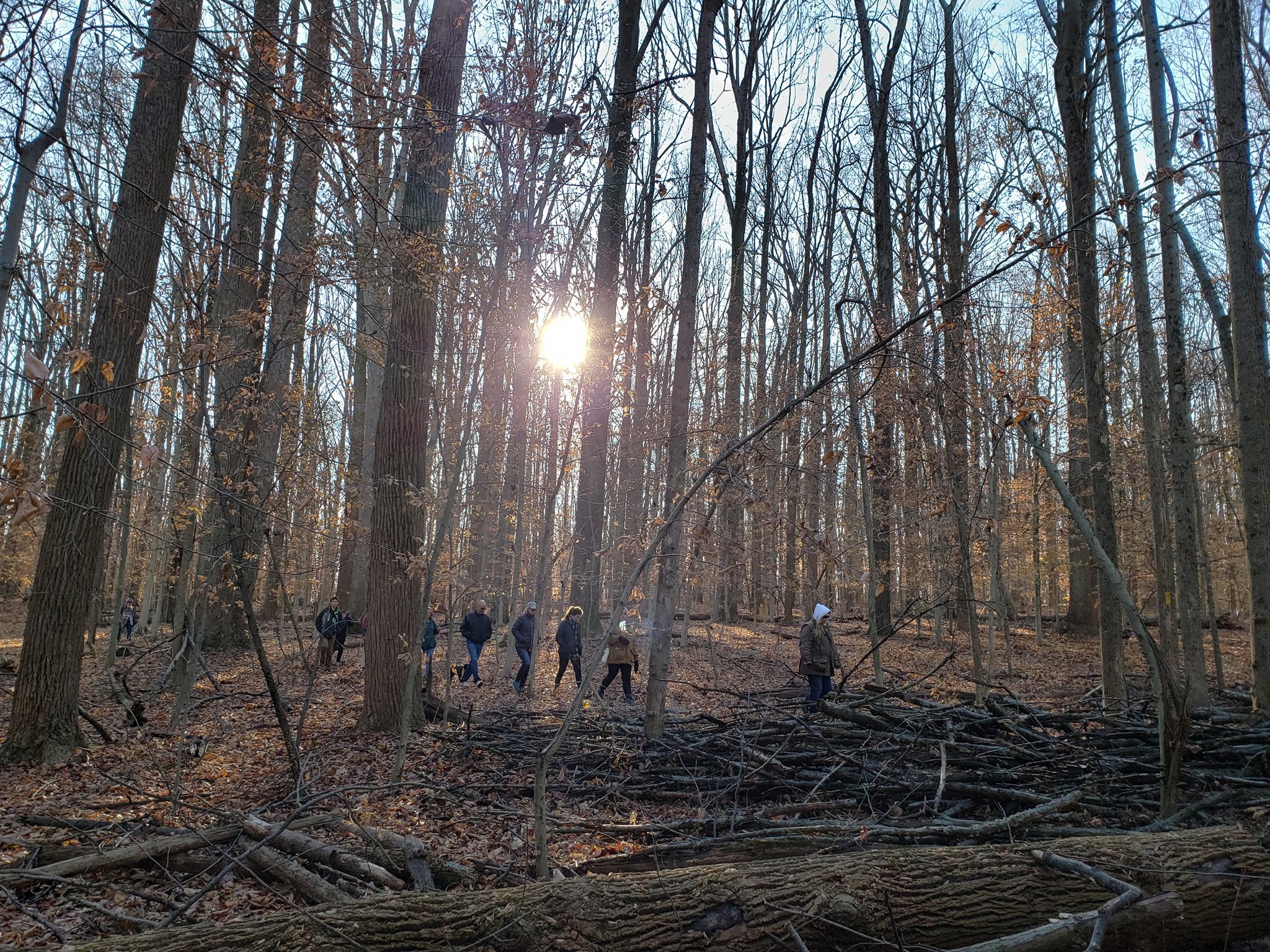 SWS Hosts OptOutside Black Friday Hike at Palmer State Park