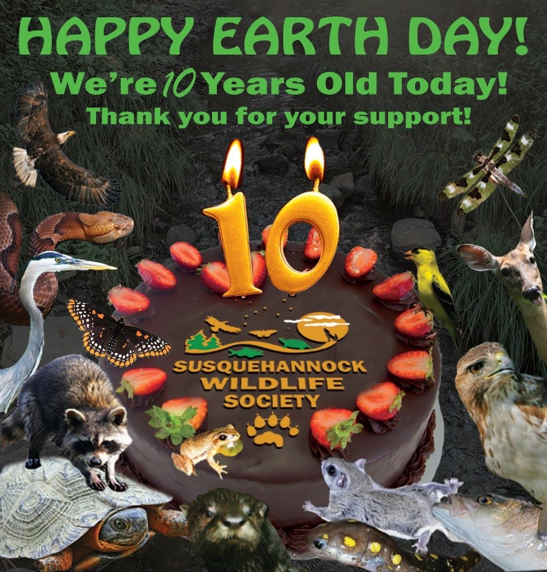 SWS Celebrates its 10th Anniversary This Earth Day