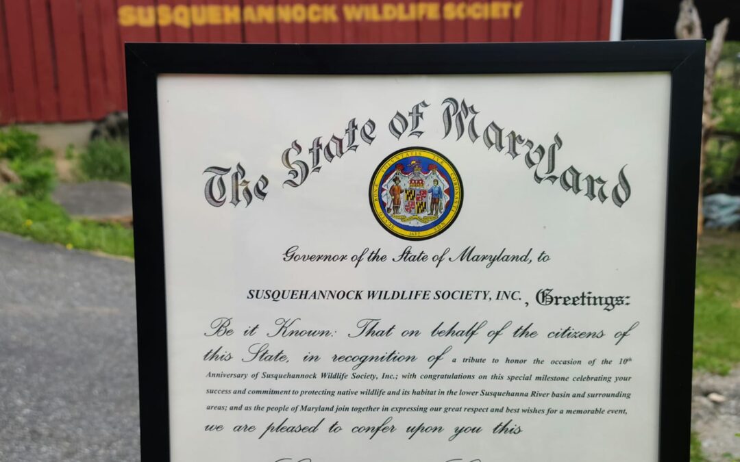 SWS Receives Governor’s Citation for 10th Anniversary