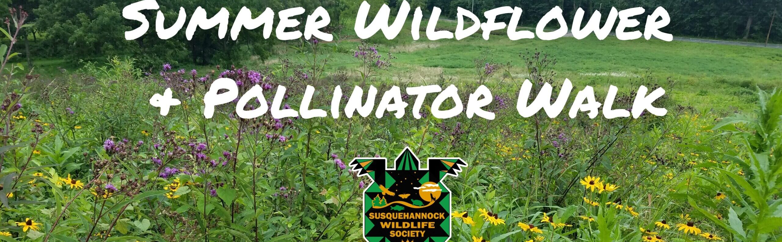 Summer Wildflower & Pollinator Walk - Susquehannock Wildlife Society